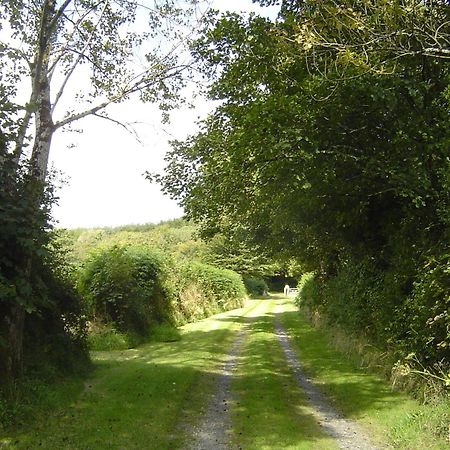 Holdstrong Farmhouse Lydford ภายนอก รูปภาพ