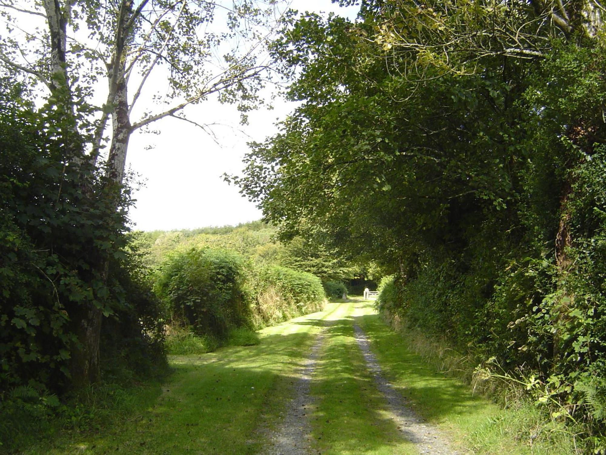 Holdstrong Farmhouse Lydford ภายนอก รูปภาพ