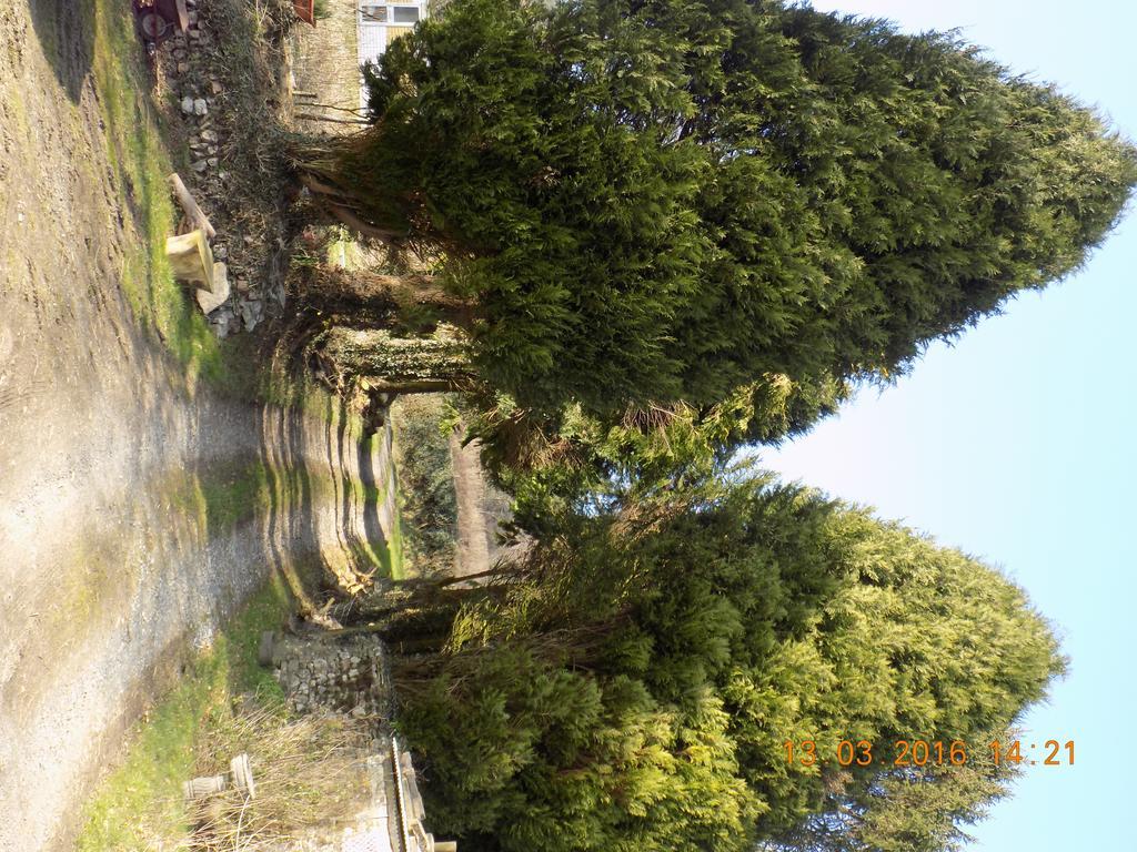 Holdstrong Farmhouse Lydford ภายนอก รูปภาพ